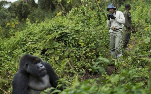 4 Day Double Gorilla Trek Rwanda