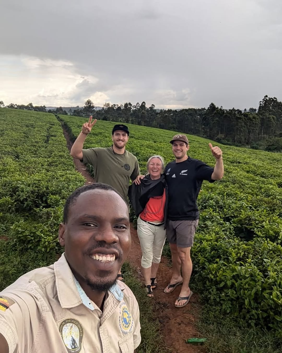 Safari moment on Instagram