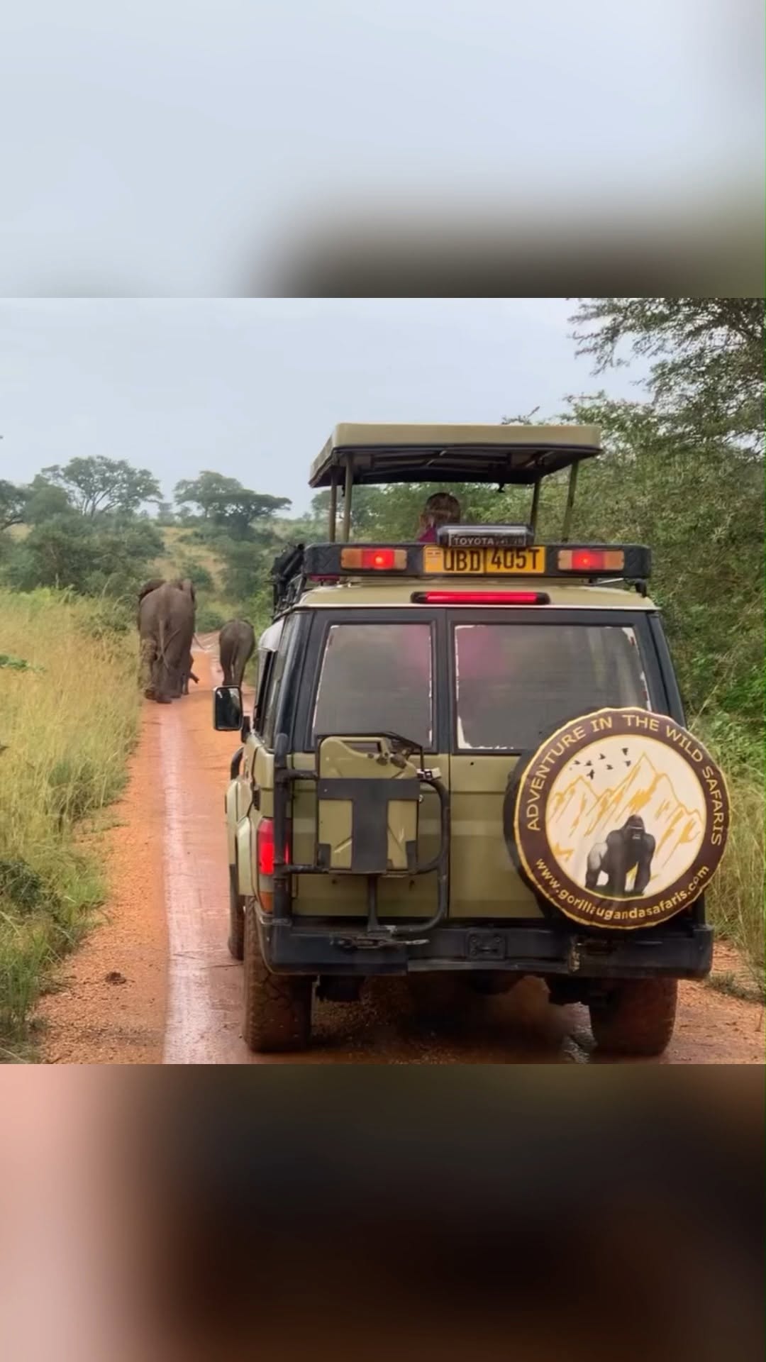 Safari moment on Instagram