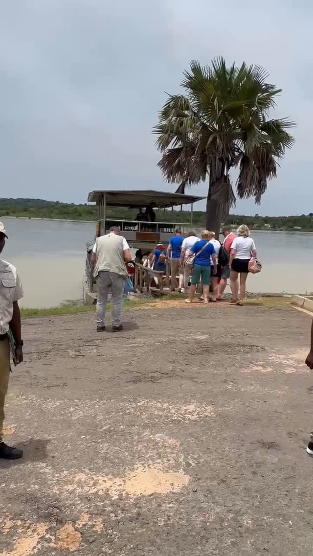 Safari moment on Instagram